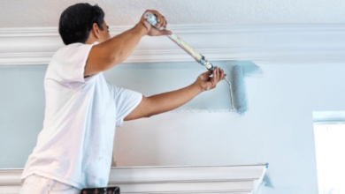 Professional Painting Services