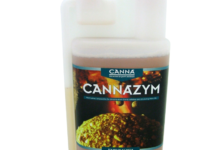 Plant Vitality with Cannazym: The Ultimate Enzyme Nutrient Solution