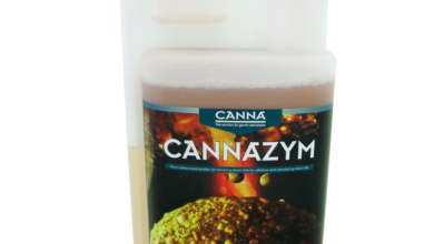 Plant Vitality with Cannazym: The Ultimate Enzyme Nutrient Solution