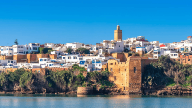 The Sectors Recruiting the Most Experienced Professionals in Morocco