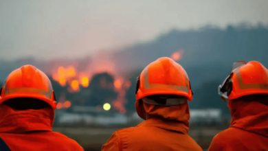 Advanced Fire Watch Services Atlanta Practices Improve Oversight During Facility Upgrades
