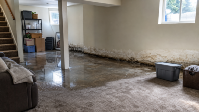 What to Do in the First 24 Hours After Water Damage: A Kansas City, Missouri Homeowner Guide